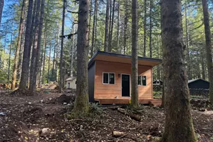 56115 Kernahan Rd E, Ashford, WA 98304 - Photo 13