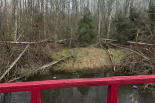 3213 28th St Ct E, Tacoma, WA 98443 - Photo 9