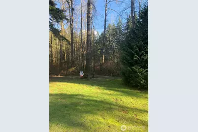 25019 64th Avenue E, Graham, WA 98338 - Photo 25