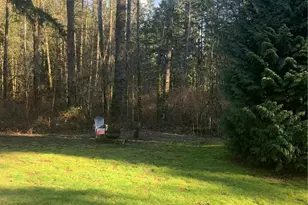 25019 64th Ave E, Graham, WA 98338 - Photo 25