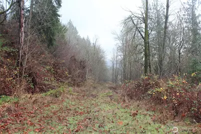 7104 Ocean Beach Highway, Longview, WA 98632 - Photo 21