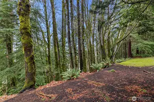 5000 NW Village Park Dr, Issaquah, WA 98027 - Photo 35