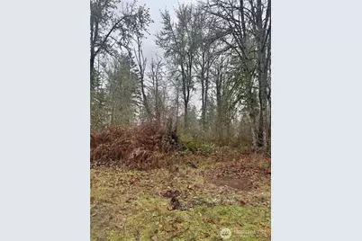 6301 360th Street S, Roy, WA 98580 - Photo 27