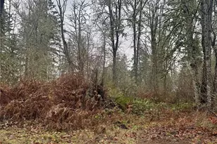 6301 360th St S, Roy, WA 98580 - Photo 27