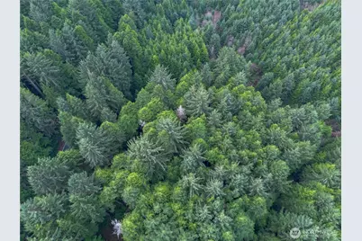 0 830501300100 +2 Parcels Gh Co, Aberdeen, WA 98520 - Photo 5