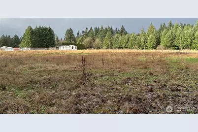 0 Byham Road, Winlock, WA 98596 - Photo 1