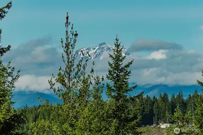 62 NE Southridge Drive, Belfair, WA 98528 - Photo 31