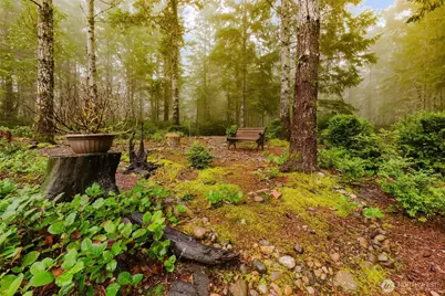 62 NE Southridge Drive, Belfair, WA 98528 - Photo 29