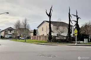 14702 Terra View St SE, Yelm, WA 98597 - Photo 29