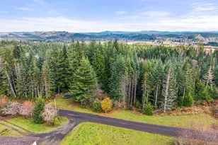 2700 Mallis Landing Rd, Raymond, WA 98577 - Photo 29