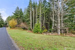 2700 Mallis Landing Rd, Raymond, WA 98577 - Photo 31