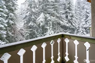 220 Tanner Way, Snoqualmie Pass, WA 98068 - Photo 13