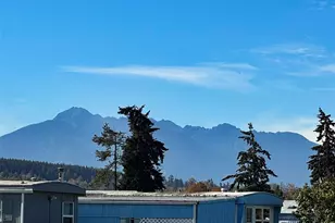 491 Mill Rd, Sequim, WA 98382 - Photo 3