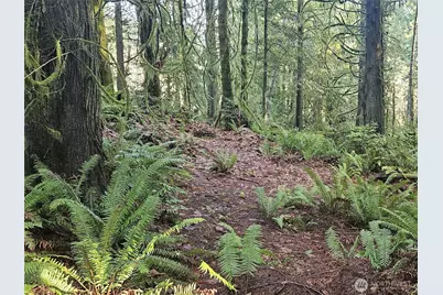 3519 130th Street NW, Gig Harbor, WA 98332 - Photo 15