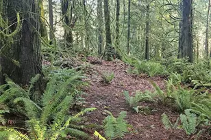 3519 130th St NW, Gig Harbor, WA 98332 - Photo 15