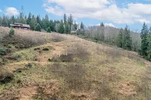 144 McDougall Dr, Mossyrock, WA 98564 - Photo 19