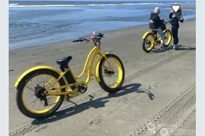 729 Wood Duck Avenue SE, Ocean Shores, WA 98569 - Photo 21