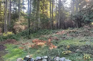 276 Point Caution, Friday Harbor, WA 98250 - Photo 9