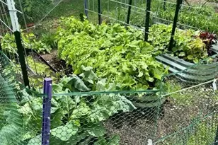 1568 SE Oregon St, Port Orchard, WA 98367 - Photo 9