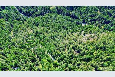 0 McCloud Creek Road, Newport, WA 99156 - Photo 15