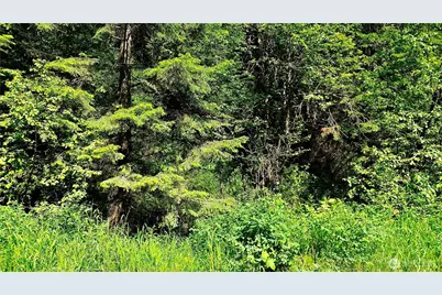 0 McCloud Creek Road, Newport, WA 99156 - Photo 5