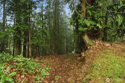 13102 NW 8th Way #C, Vancouver, WA 98685 - Photo 27