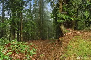 13102 NW 8th Way, Vancouver, WA 98685 - Photo 27