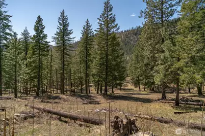 0 Granite Creek, Chelan, WA 98816 - Photo 19