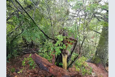 1543 Dicks Lane, Westport, WA 98595 - Photo 3