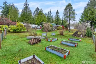 510 Forest Dr, Brinnon, WA 98320 - Photo 29