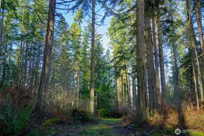 0 Nka Atterberry Road, Sequim, WA 98382 - Photo 17