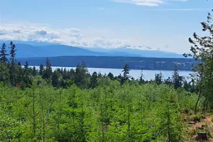 9999 Protection Ridge Rd, Port Townsend, WA 98368 - Photo 1