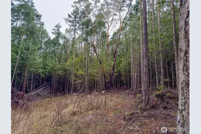 9999 Protection Ridge Road, Port Townsend, WA 98368 - Photo 7