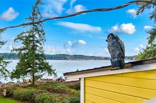 534 Sundin Dr, Camano Island, WA 98282 - Photo 9