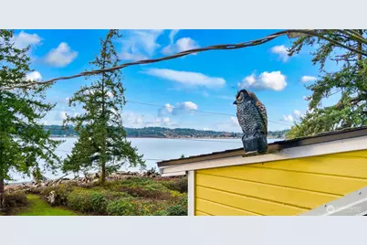 534 Sundin Drive, Camano Island, WA 98282 - Photo 9