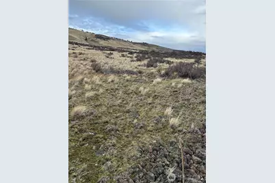 0 Chukar Ridge Road, Ellensburg, WA 98926 - Photo 3