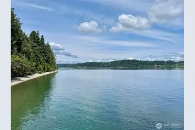 12914 E 101st Street Ct, Anderson Island, WA 98303 - Photo 33