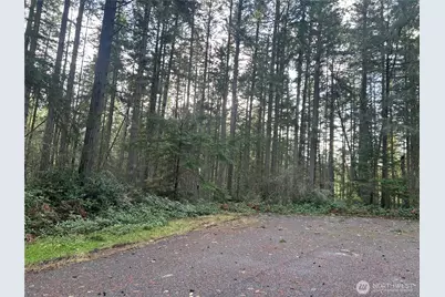 12914 E 101st Street Ct, Anderson Island, WA 98303 - Photo 29