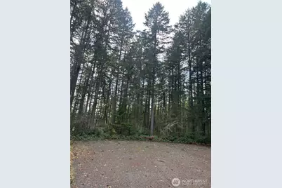 12914 E 101st Street Ct, Anderson Island, WA 98303 - Photo 11