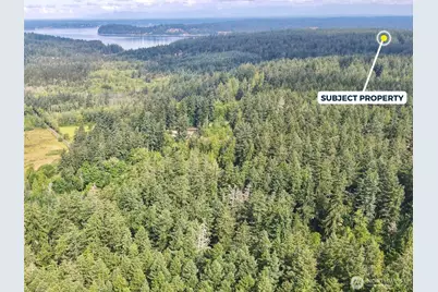 12914 E 101st Street Ct, Anderson Island, WA 98303 - Photo 15