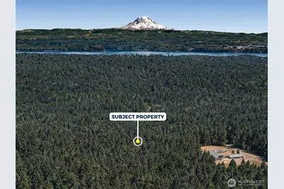 12918 E 101st Street Ct, Anderson Island, WA 98303 - Photo 3