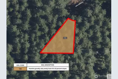 12918 E 101st Street Ct, Anderson Island, WA 98303 - Photo 19