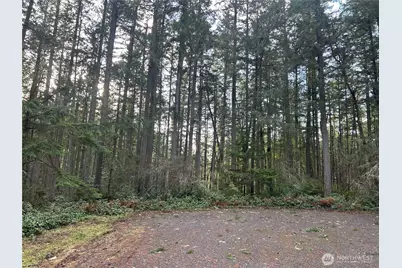 12918 E 101st Street Ct, Anderson Island, WA 98303 - Photo 11