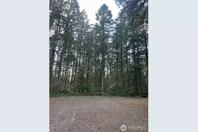 12918 E 101st Street Ct, Anderson Island, WA 98303 - Photo 25