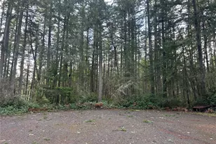 12918 E 101st Street Ct, Anderson Island, WA 98303 - Photo 1
