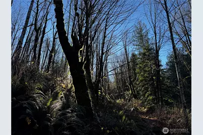 49424 Index-Galena Road, Index, WA 98256 - Photo 17