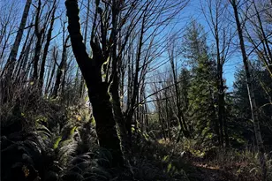 49424 Index-Galena Rd, Index, WA 98256 - Photo 17