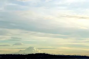 2040 43rd Ave E, Seattle, WA 98112 - Photo 11