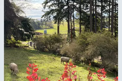 651 Long Ears Way, Coupeville, WA 98239 - Photo 31
