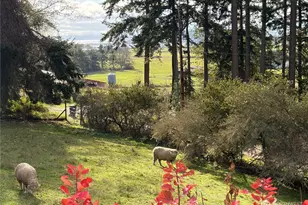 651 Long Ears Way, Coupeville, WA 98239 - Photo 31